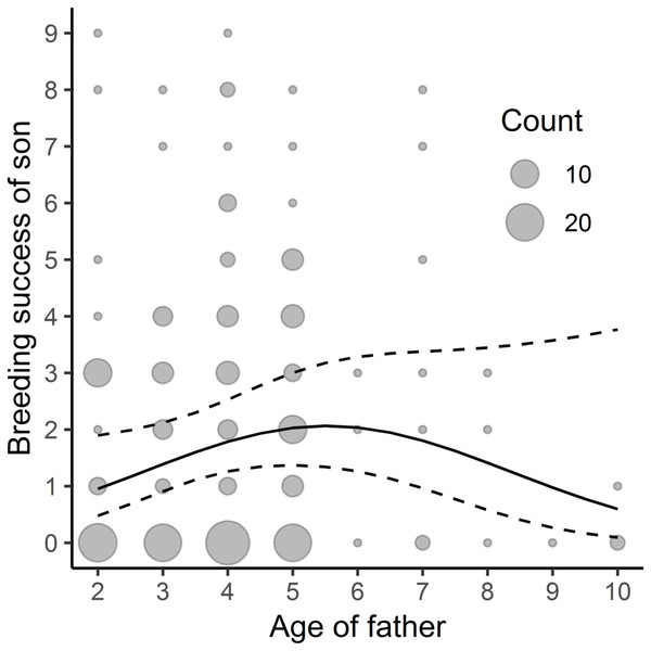 Relationship between sons’ breeding success and paternal age; n = 202.