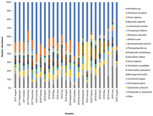 Taxonomic composition of candidate species of outdoor airborne communities (small size samples).