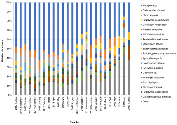 Taxonomic composition of candidate species of outdoor airborne communities (large size samples).