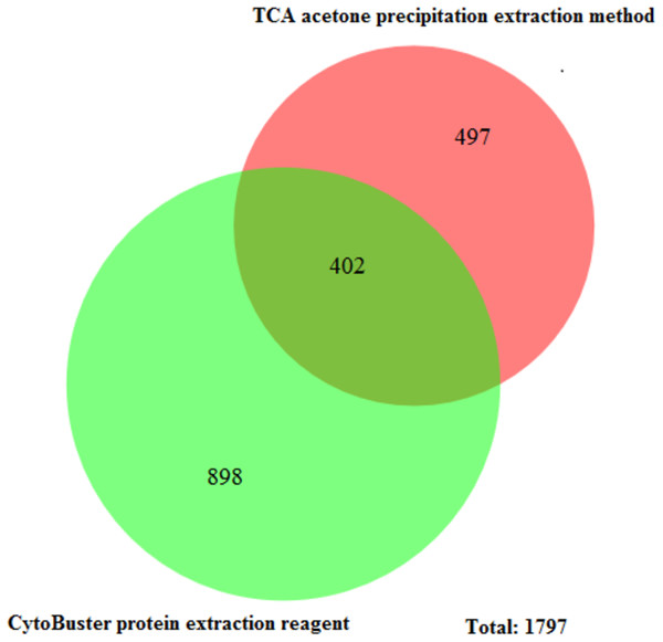 Unique and common proteins identified from TCA acetone precipitation and CytoBuster™ extraction methods.