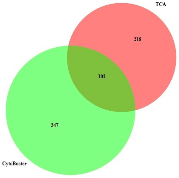 Protein identified in three replicates using TCA acetone precipitation and CytoBusterTM extraction methods.