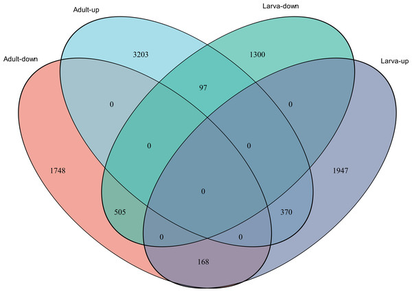 Venn diagram showing the number of commonly up- and down-regulated genes between the two different stages in D. valens.