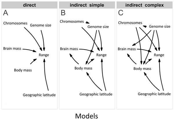 Competing models in the phylogenetic confirmatory path analysis.