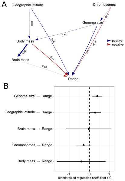 Results from the phylogenetic confirmatory path analysis.