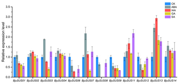 Expression profiles of BjuSUSs in response to treatment with abscisic acid (ABA), auxin (IAA), gibberellin (GA) and salicylic acid (SA).