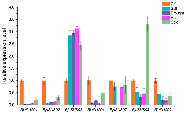 Expression profiles of BjuSUSs in response to treatment with salt, drought, heat temperature and cold temperature stress.