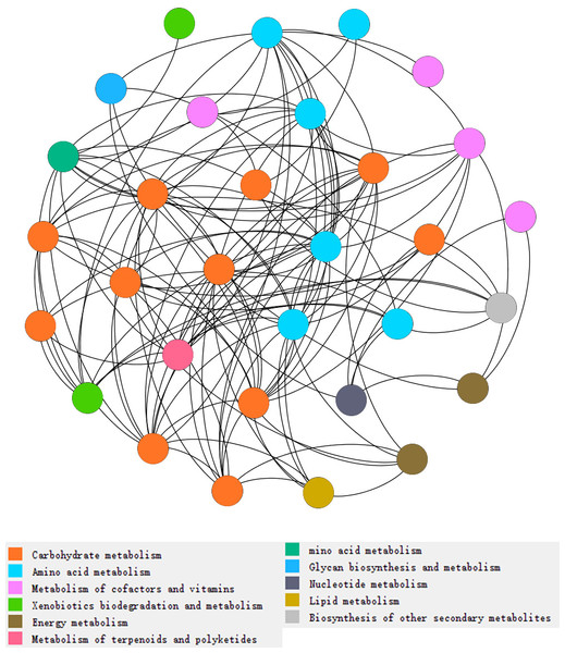 Network analysis of types of metabolism involved with N and P cycling and organic matter turnover in intercropping treatments.