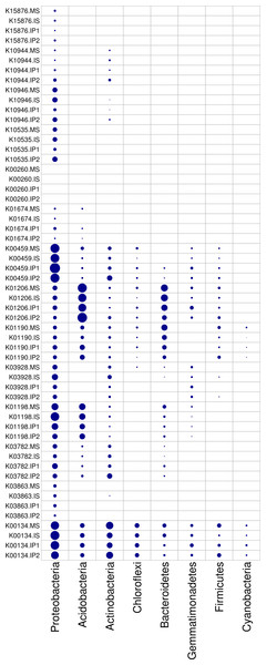 Relative abundances of genes in relevant phyla involved in N and P reactions and plant degradation.