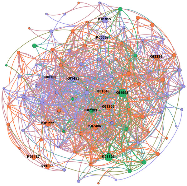 Network analysis between genes related to N and P cycling and plant polymer degradation.