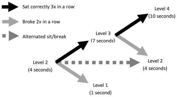 Adaptive schedule of reinforcement in Experiment 1.