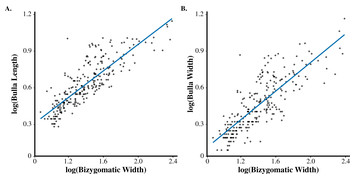 What are the limits on whale ear bone size? Non-isometric scaling of ...