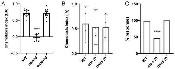 Sensory responses are normal in dmd-10 mutants.