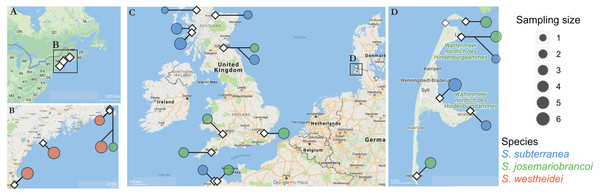 Sampling locations across the Northern Atlantic.