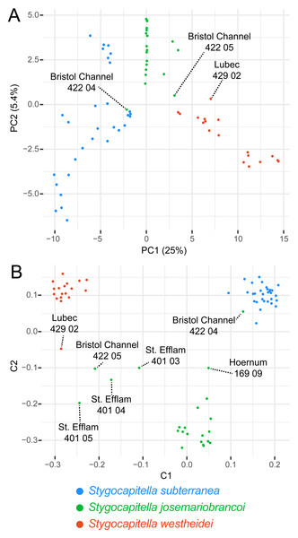 Principal Component Analysis (A) and Multi-dimensional scaling (B) of 3,428 SNPs.