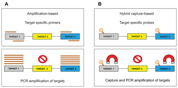 Target enrichment approaches for NGS library preparation.