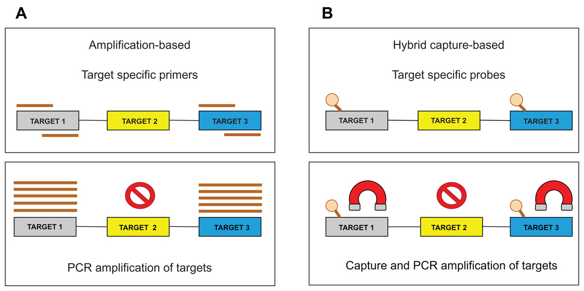 Bioinformatic strategies for the analysis of genomic aberrations detected  by targeted NGS panels with clinical application [PeerJ]