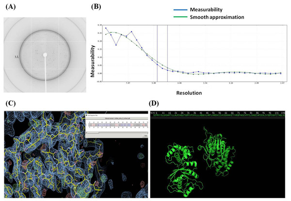 Crystallization and diffraction Data Collection of the recombinant Cbs2.