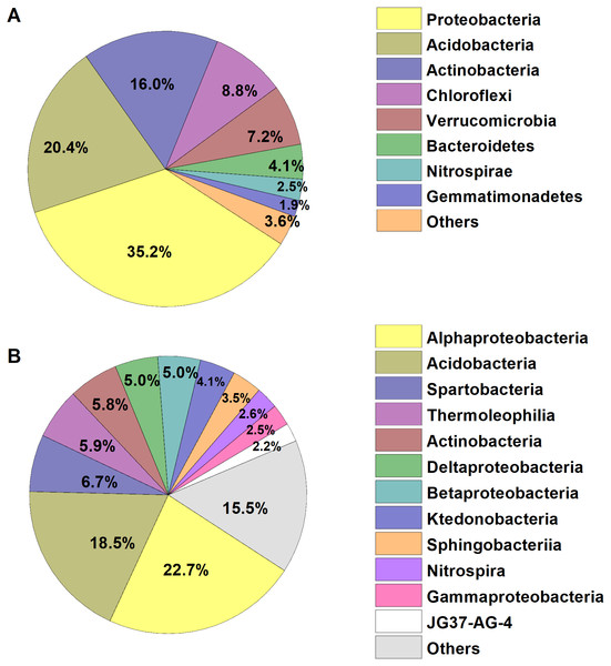 Relative abundances of the dominant bacterial (A) phylum and (B) class in the broad-leaved Korean pine forest.