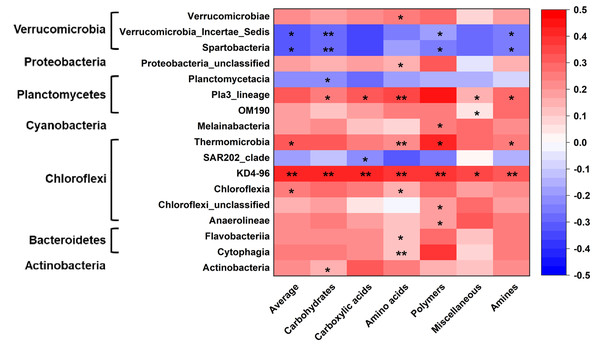 Correlations of bacterial groups and metabolic functions.