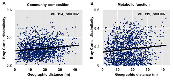 Relationship between Bray–Curtis community dissimilarity and geographic distance for (A) bacterial community composition and (B) metabolic functions.