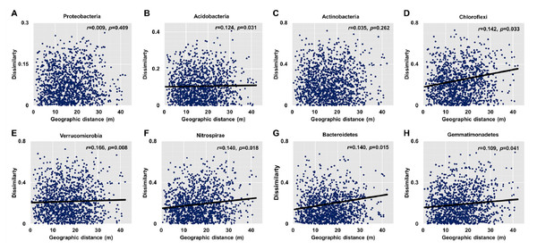 Relationships between dissimilarity and geographic distance for dominant bacterial phyla.