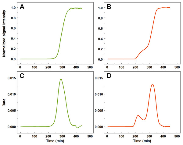 Insulin aggregation curves and their derivatives.