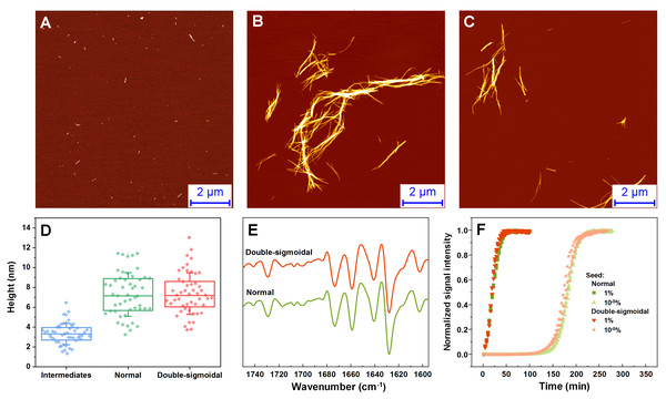 Normal, intermediate and double-sigmoidal sample AFM images, fibril height distributions, second order FTIR spectra and seeding kinetics.