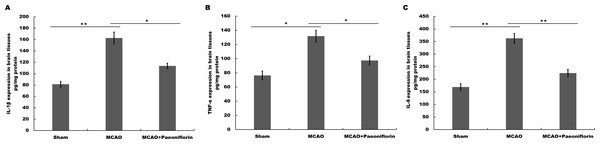 Paeoniflorin inhibits the secretion of pro-inflammatory cytokines in rat stroke model.