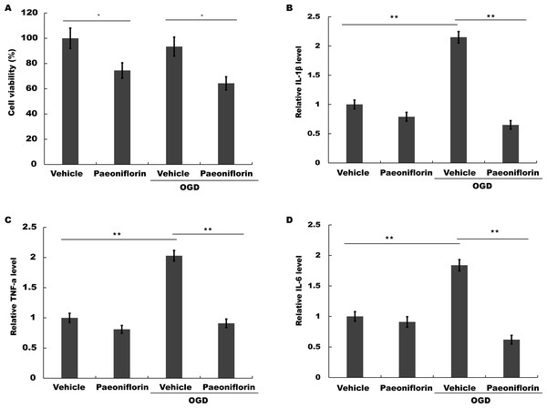 Paeoniflorin repressed microglial viability and inflammatory cytokines production in vitro.