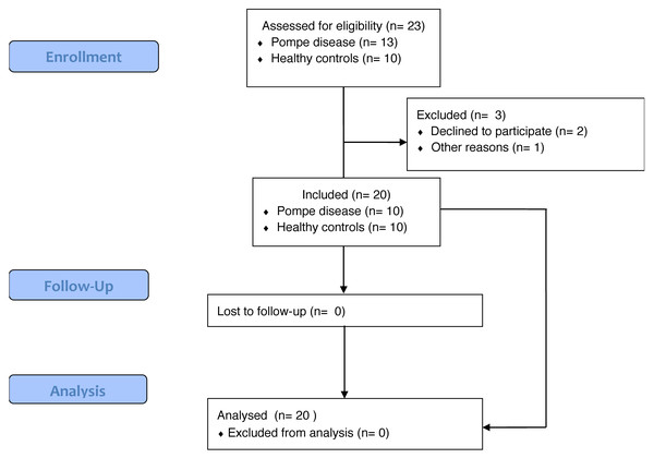 Flow chart of late onset pompe disease and healthy control subjects participating in the study.