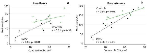 Linear regression analysis of muscle strength and contractile CSA of the knee flexors (A) and knee extensors (B) in patients with LOPD (circle) and controls (triangle).