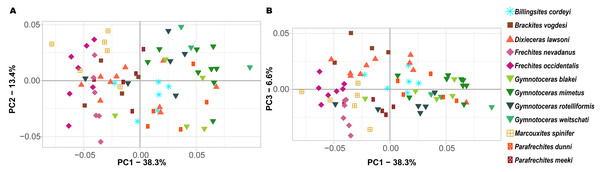 Ontogenetic morphospace of all species analyzed. (A) Principal Component 1 and 2; (B) Principal component 1 and 3.