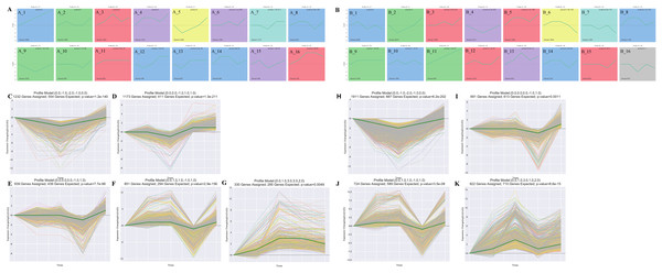 Cluster analysis of the gene expression trends during T. fortunei drought.