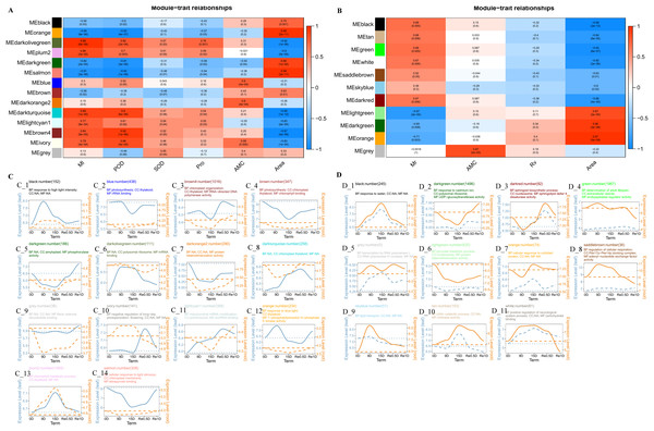 Analysis of the co-expression networks.