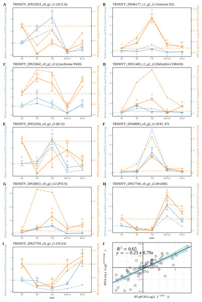 Correlation between the RT-qPCR and RNA-Seq data.