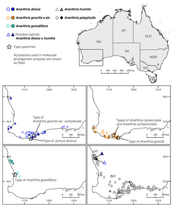 Two centuries from species discovery to diagnostic characters ...