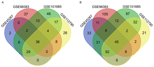 Identification of common DEGs from the GSE45267, GSE98383, GSE101685 and GSE112790 datasets.