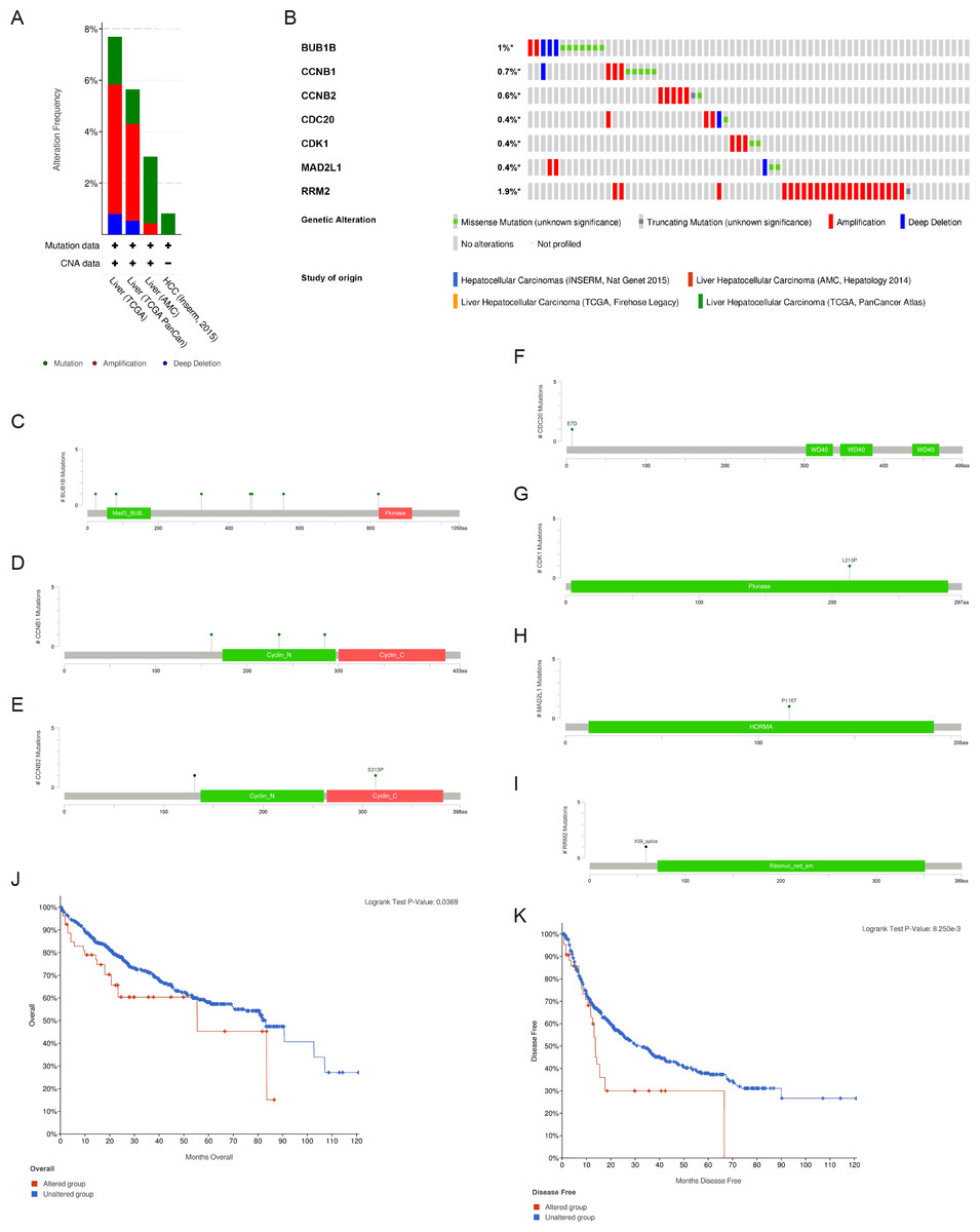 Identification of the hub gene BUB1B in hepatocellular carcinoma 