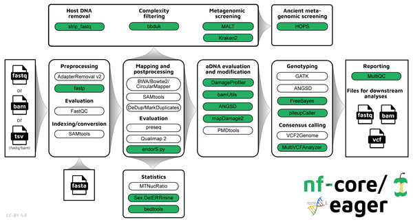Simplified schematic of the nf-core/eager workflow pipeline.