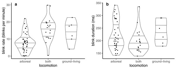 Violin plots showing probability densities describing how (A) blink rate and (B) blink duration are related to locomotion mode.