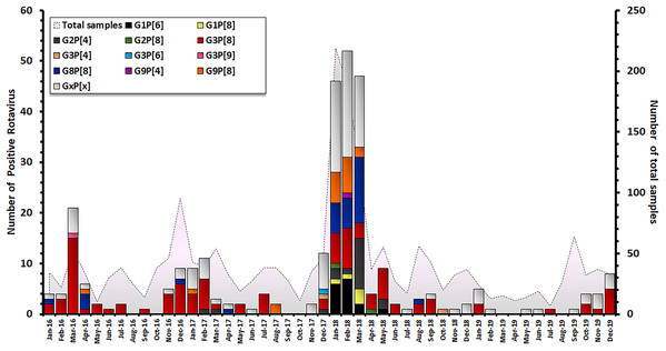 Distribution of RVA genotypes between January 2016 and December 2019. The monthly number of samples from children diagnosed with AGE is shown in grey. Bar graphs show the number of RV-positive cases.