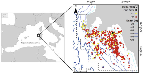 Study area and sightings considered in the analysis: yellow points (Period 1 dataset), red points (Period 2 dataset).