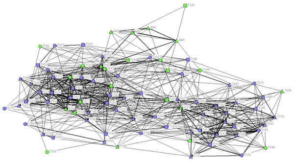 Social network representation of the entire population, showing only the significant associations from the permutation test.