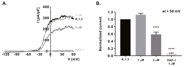 Inhibitory effects of α-mangostin on KV1.3 current (IKV) measured in Jurkat T cells.