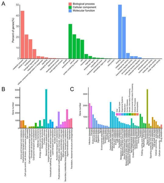 Annotation of passion fruit transcriptome.