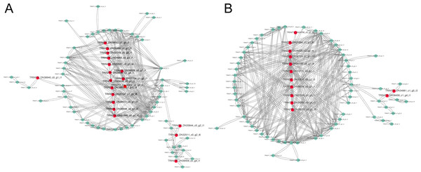 Gene coexpression network related to cold stress.