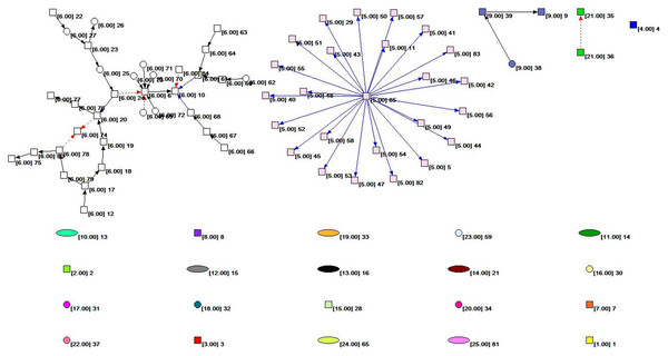 The subnet distribution map of the overall network of the HIF-1 signaling pathway.