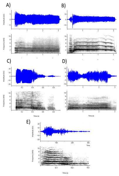 Waveforms and spectrograms depicting the screams with the highest ratings on each emotion prompt.