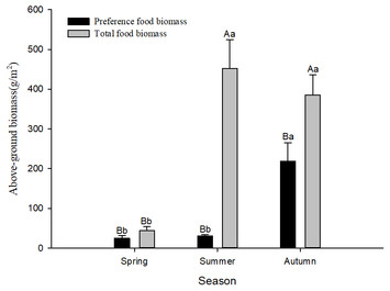 Activity strategy and pattern of the Siberian jerboa (Orientallactaga ...