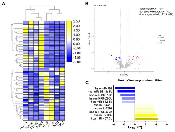 Cluster analysis of differentially expressed exosomal miRNAs isolated from serum from PCOS patients and normal controls.